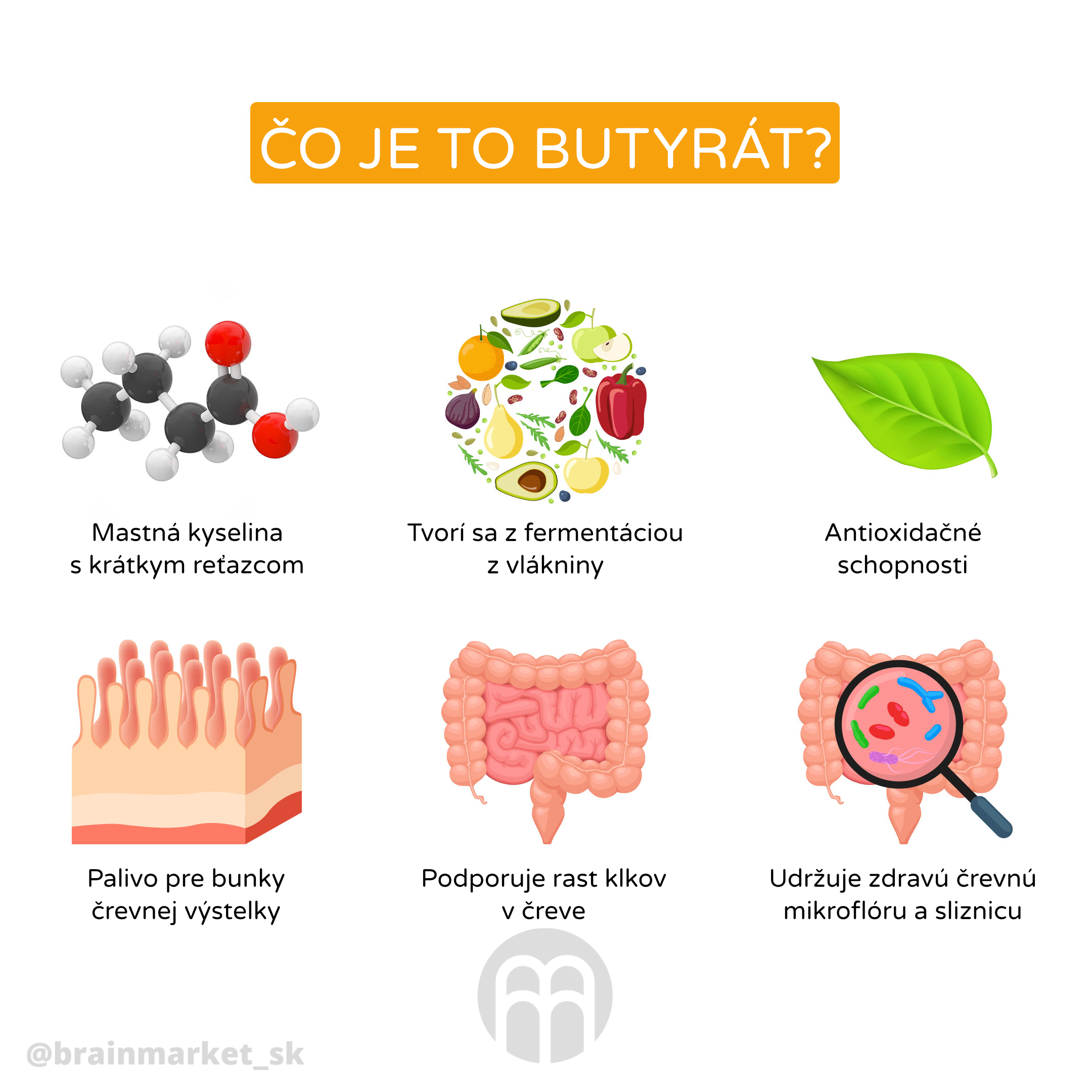 butyrat_infografika_brainmarket_cz
